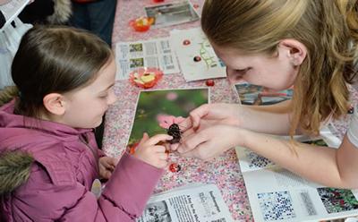 2016 Science Festival